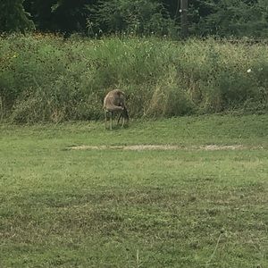 Meet your Posher, Maribel
